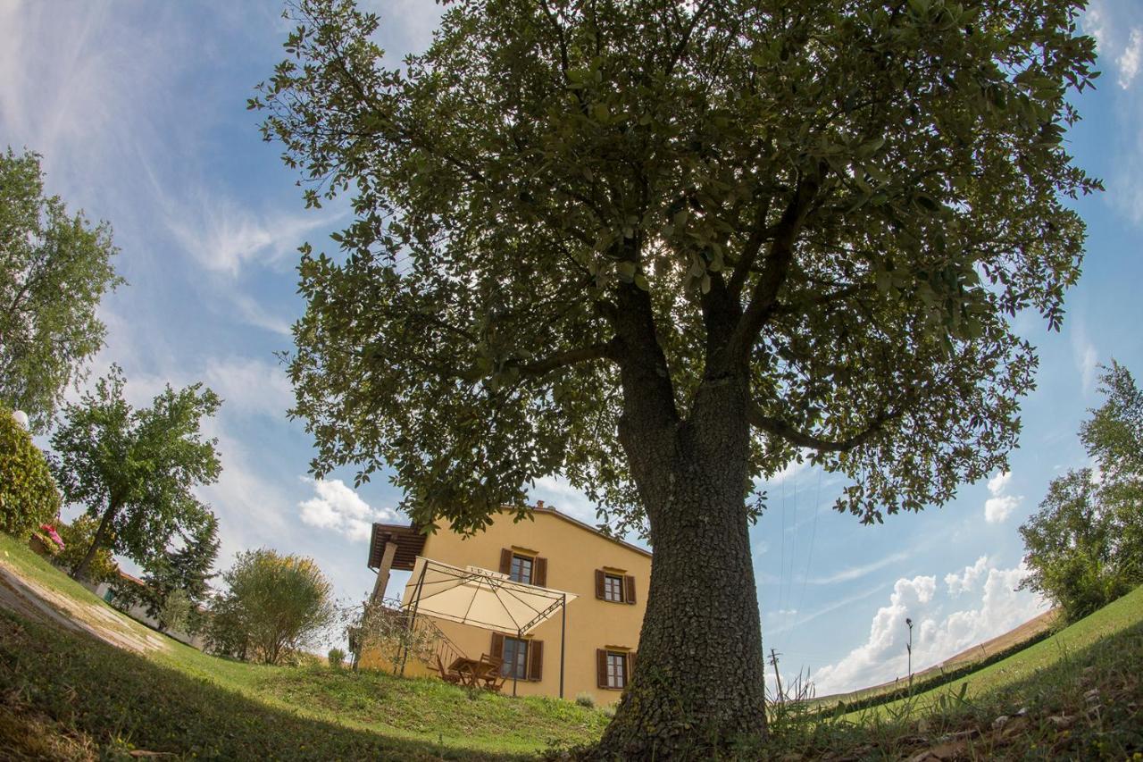 Agriturismo San Giuseppe 볼테라 외부 사진